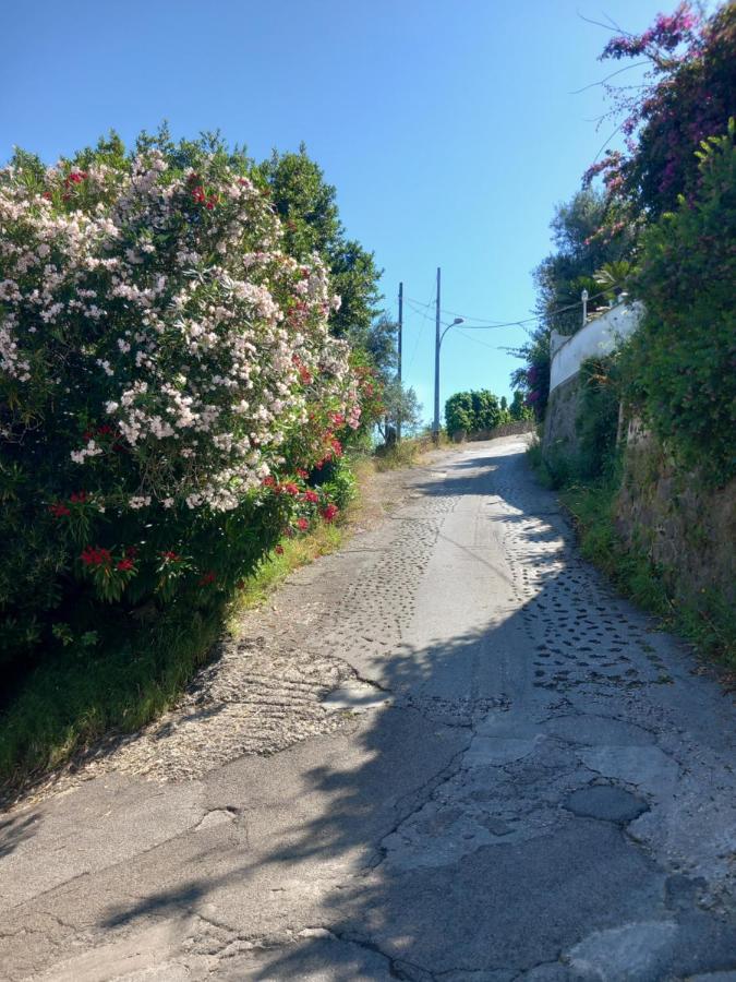 Villetta Panoramica Forio di Ischia Exterior foto